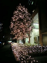 クリスマス