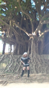¥®¥ã¥ë³×Ì¿¡¡¡¡¥¬¥¸¥å¥Þ¥ë¤ÎÌÚÁ´ÂÎ