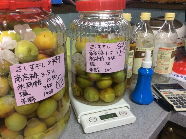 さしす干し完了 りんごのき さしす干し完了 りんごのき
