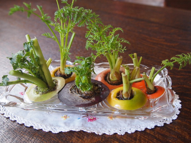可愛い野菜 りんごのき