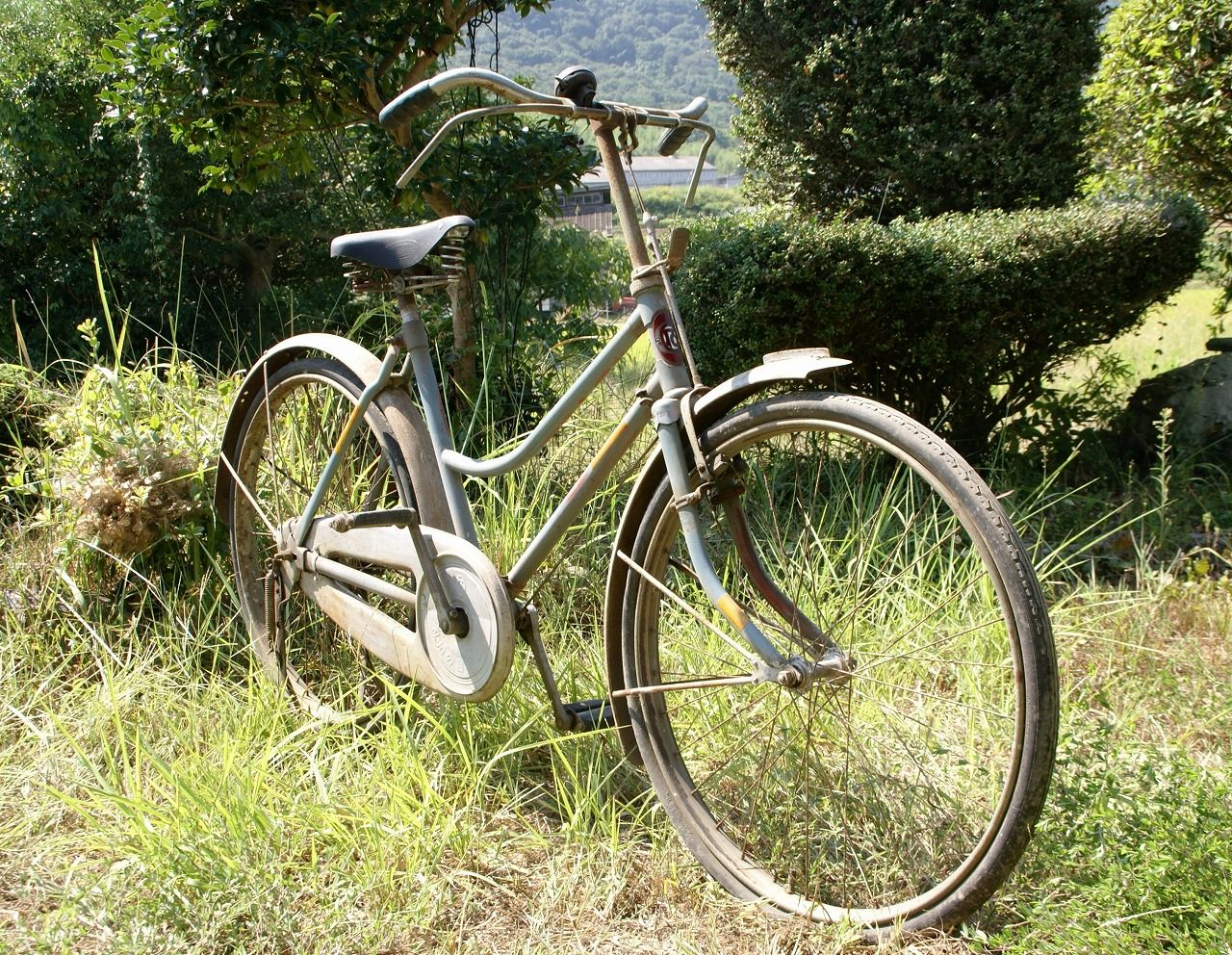 丸石婦人車 しげpの自転車日記 丸石婦人車 しげpの自転車日記