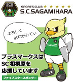 scsagamihara146