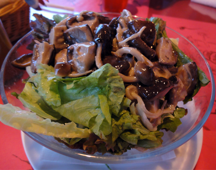 キャンティの森