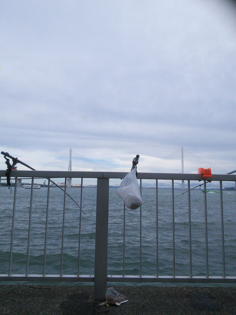 埼玉からの海釣りと趣味のブログ