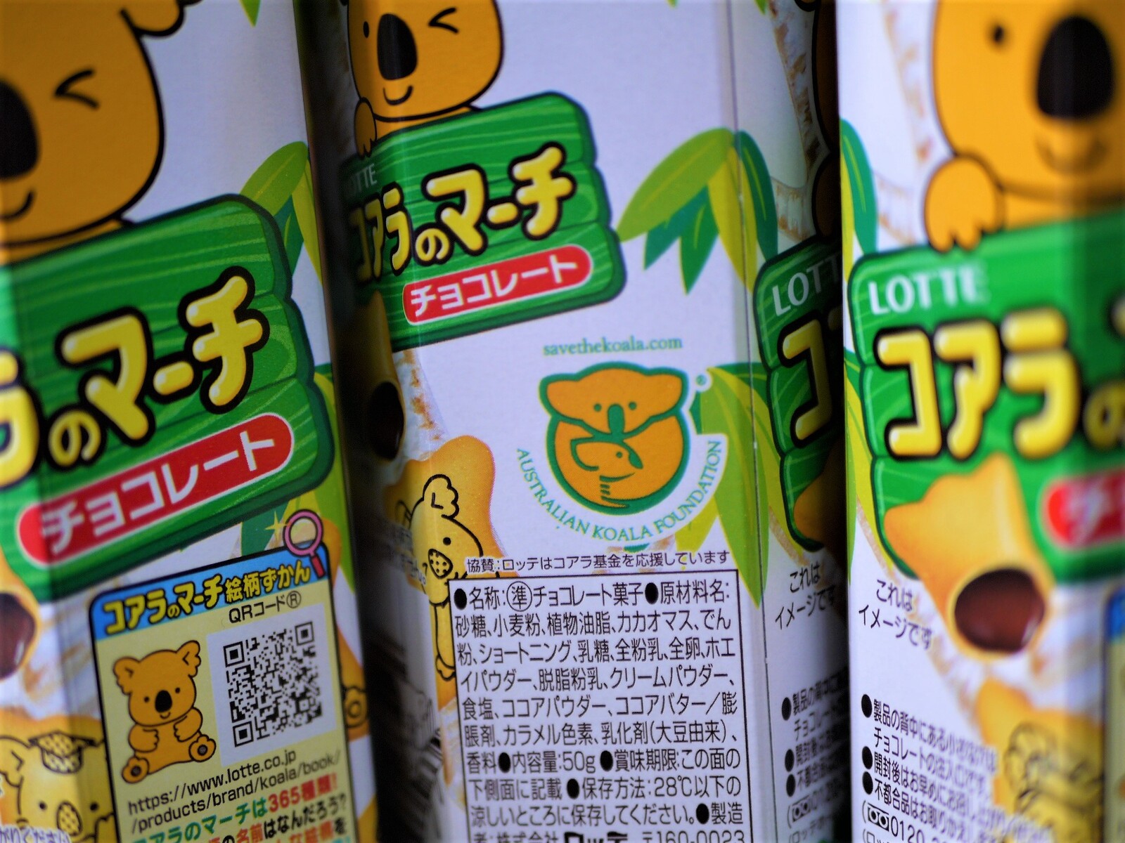 コアラ募金 コアラのマーチ 濱端