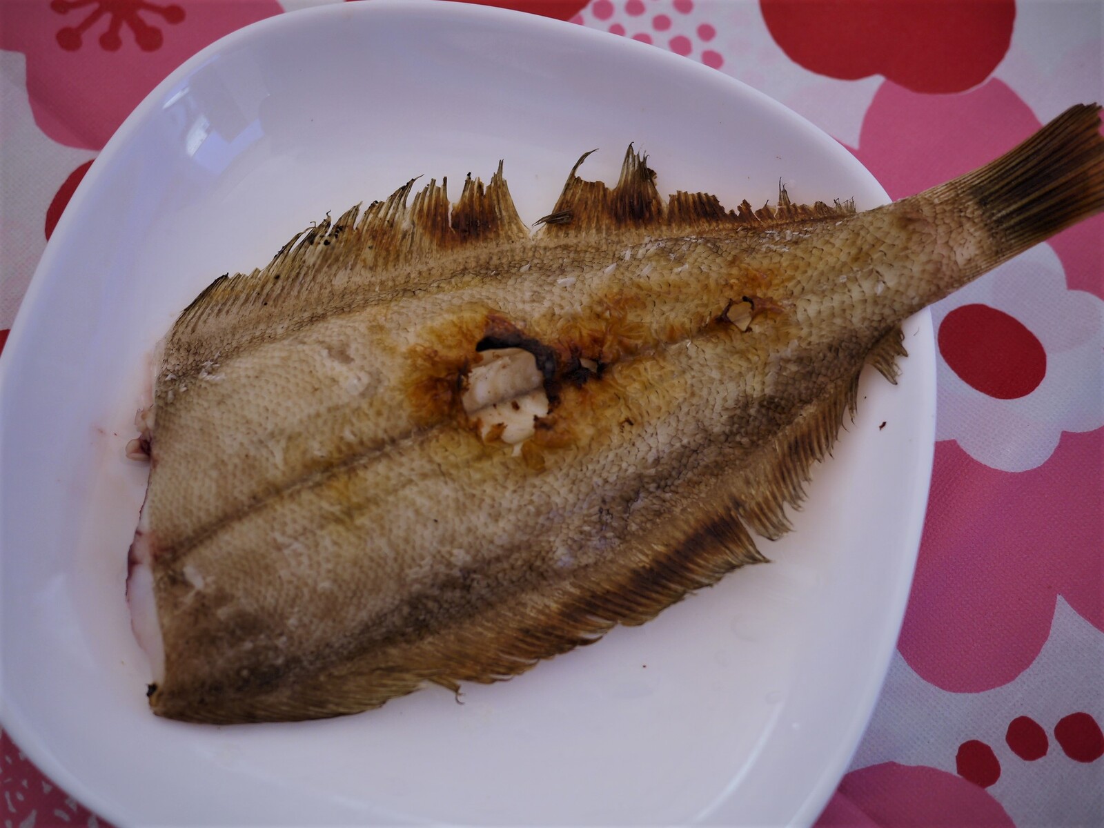 浅利入りおでんは出汁が抜群 いち 濱端 浅利入りおでんは出汁が抜群 いち 濱端