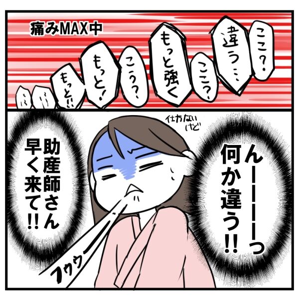出産の記録⑤ うりうり日記～シギの日常漫画～