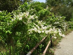 俣野別邸公園 043