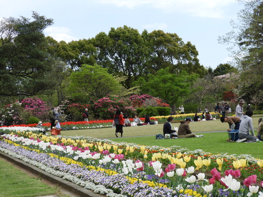 107日比谷花壇大船フラワーセンター