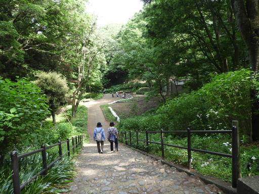 037東高根森林公園