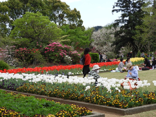 109日比谷花壇大船フラワーセンター