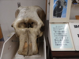 金沢自然公園 049