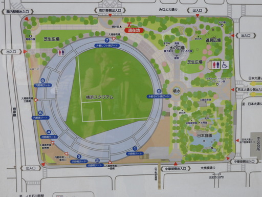 横浜公園 チューリップ 003