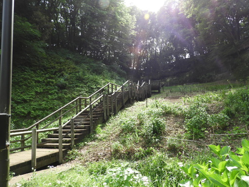 045東高根森林公園