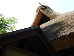 薬師池公園 旧荻野家 059