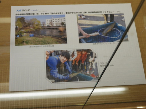 005アリゲーターガー捕獲