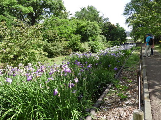 日比谷花壇大船フラワーセンター 026