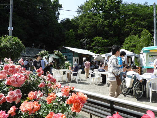 生田緑地ばら苑 044