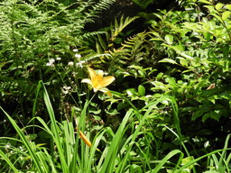 俣野別邸公園 047