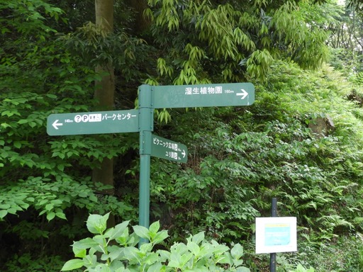 044東高根森林公園 道しるべ