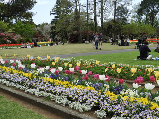 108日比谷花壇大船フラワーセンター