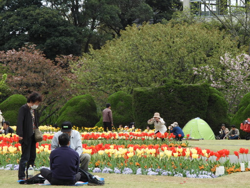 111日比谷花壇大船フラワーセンター
