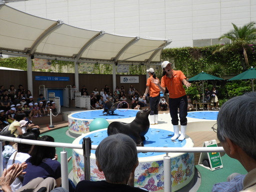 池袋サンシャイン水族館 026