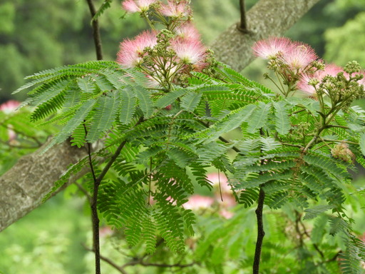 金沢自然公園 008