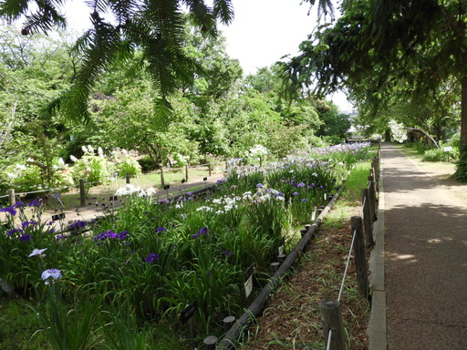 日比谷花壇大船フラワーセンター 023