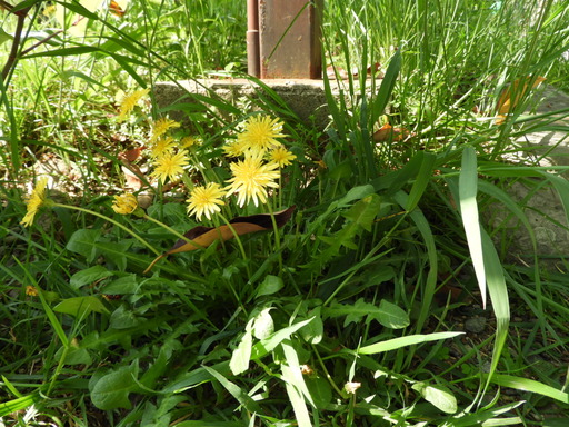 四国 191琴平町公会堂