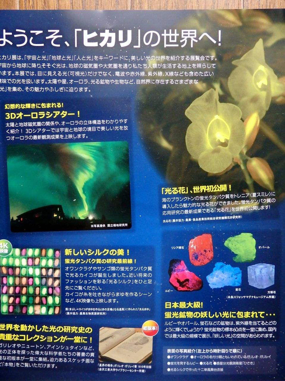 ヒカリ展 国立科学博物館 15 02 03 花 を ひ ろ う
