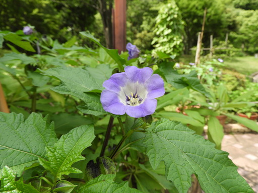 金沢自然公園 033