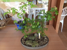 俣野別邸公園 025