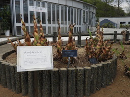 092チュウキンレン