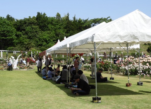 生田緑地ばら苑 031