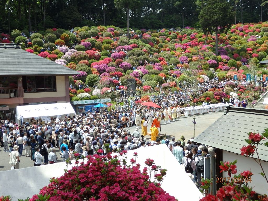 青梅 塩船観音つつじまつりと大護摩火渡り荒行 花 を ひ ろ う 青梅 塩船観音つつじまつりと大護摩火渡り荒行 花 を ひ ろ う