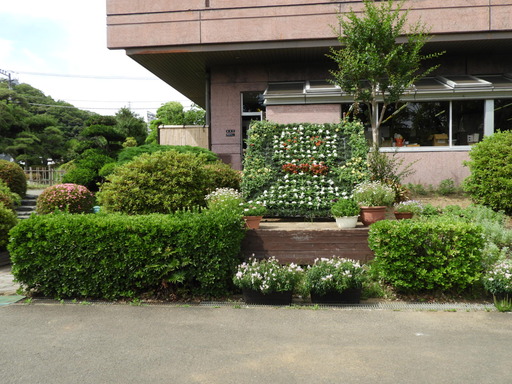 日比谷花壇大船フラワーセンター 007