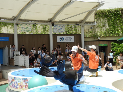 池袋サンシャイン水族館 028