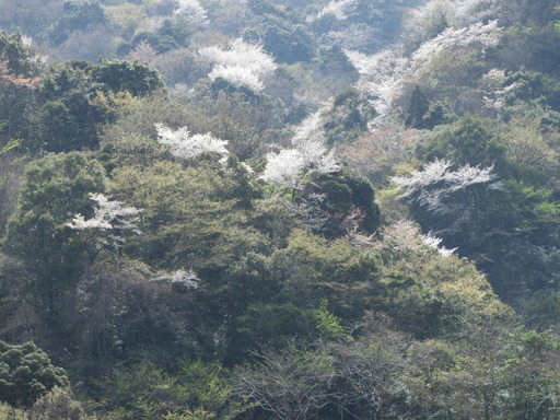 箱根 ホテルおかだ 007