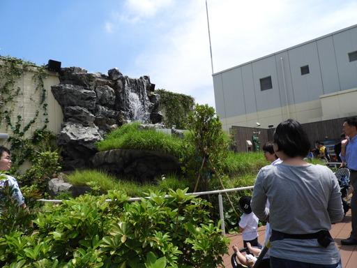 池袋サンシャイン水族館 036