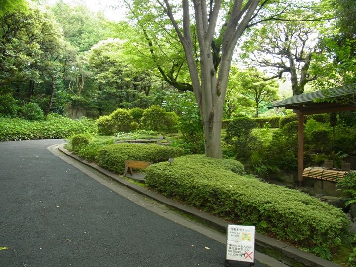 花 を ひ ろ う 「ねむの木の庭」公園 品川区東五反田 花 を ひ ろ う 「ねむの木の庭」公園 品川区東五反田