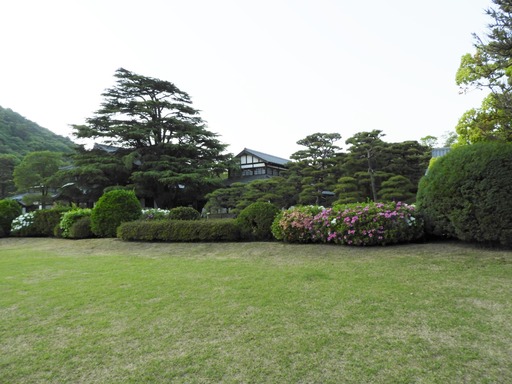 四国 147利雨林公園