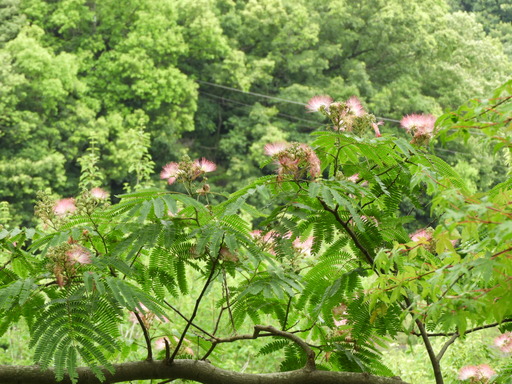 金沢自然公園 007