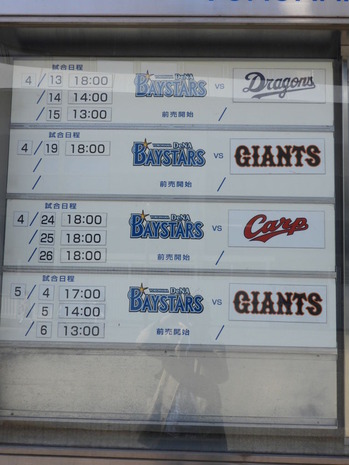 横浜公園 チューリップ 078