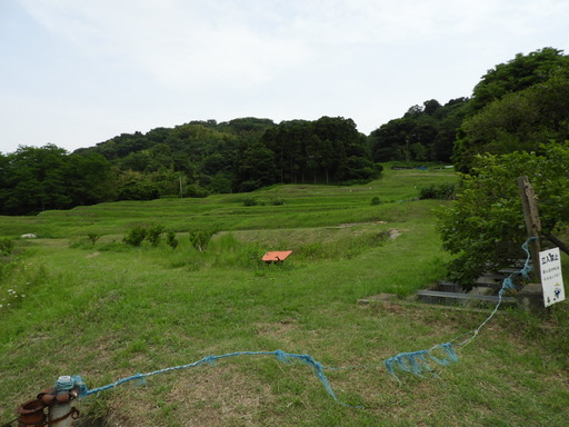 葉山の棚田 019