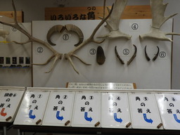 金沢自然公園 050