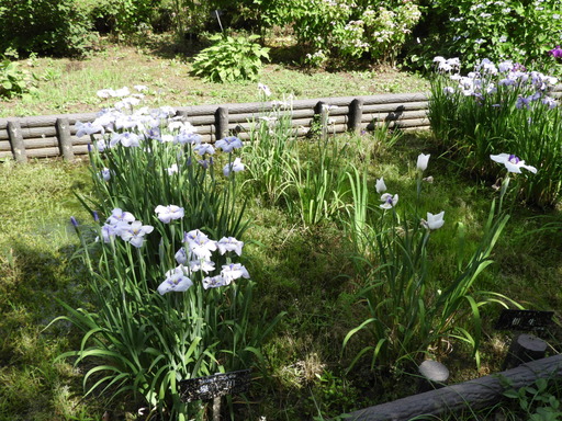 日比谷花壇大船フラワーセンター 027