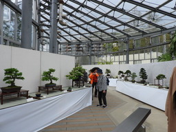 103第23回 春の盆栽展