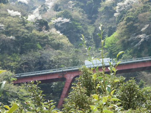 箱根 ホテルおかだ 008