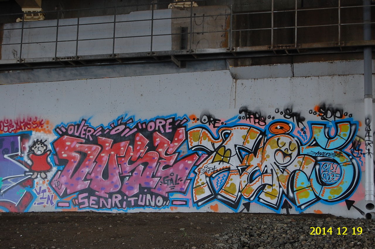 相模大堰 神奈川県海老名市社家 : 花 を ひ ろ う